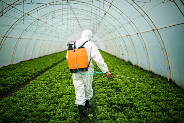 Best Pest Prevention Services  in Alamogordo, NM