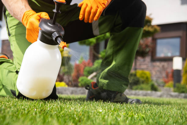 Flea Control Services in Alamogordo, NM