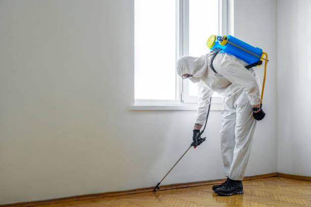 Best Pest Control Near Me in Alamogordo, NM
