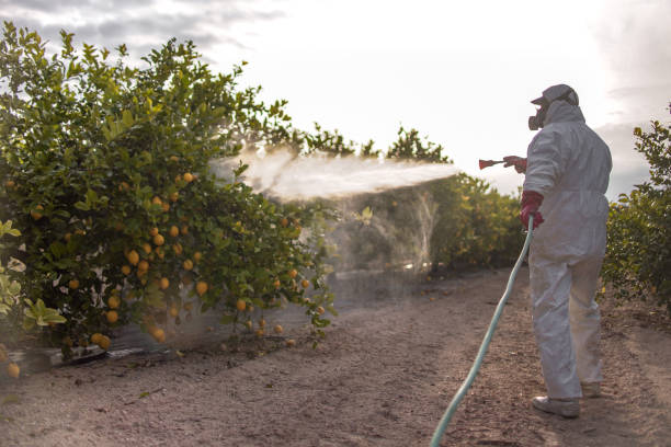 Professional Pest Control in Alamogordo, NM
